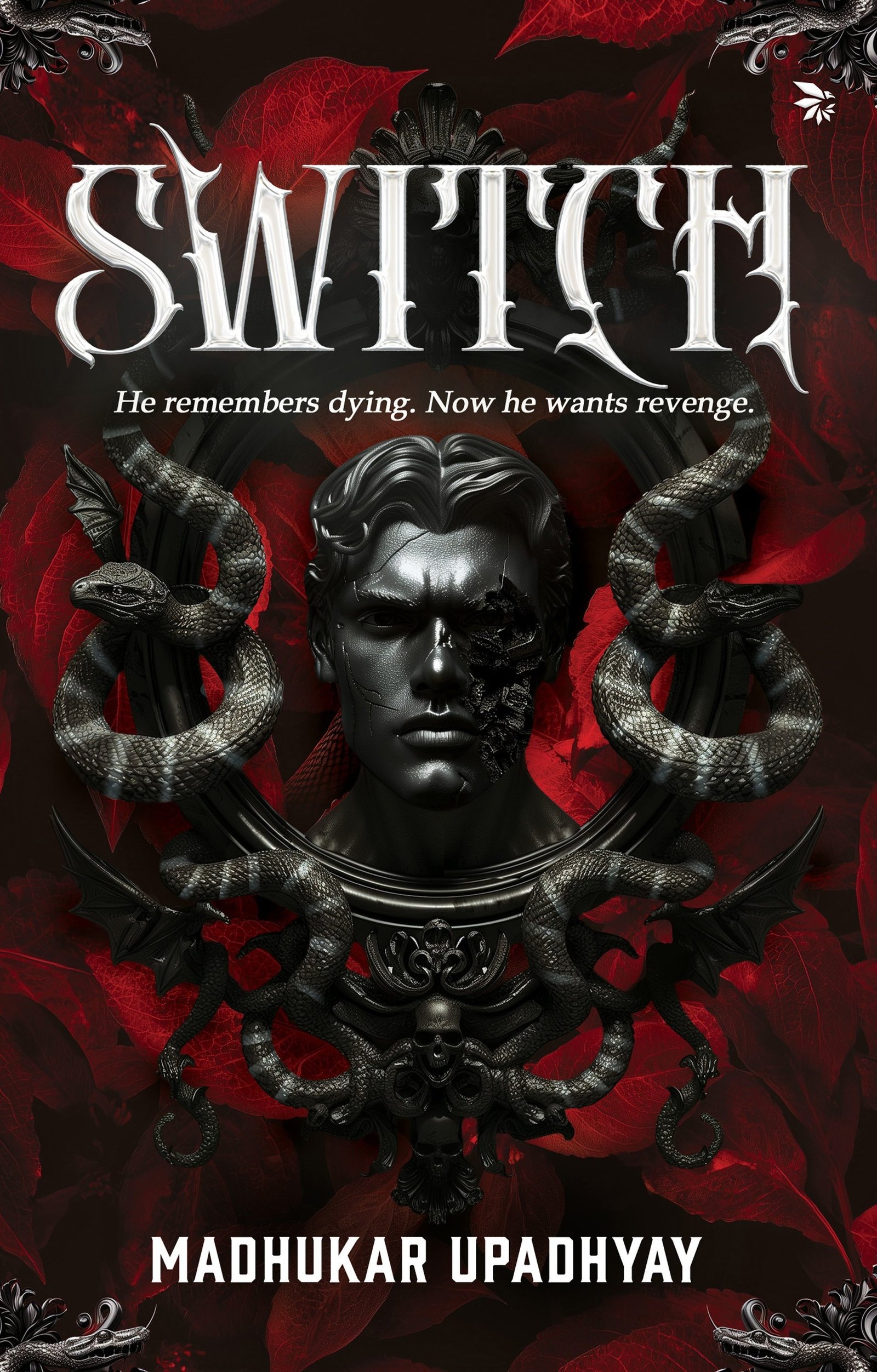 Switch Book Cover